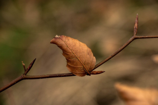 814555 (a): :2048x1365